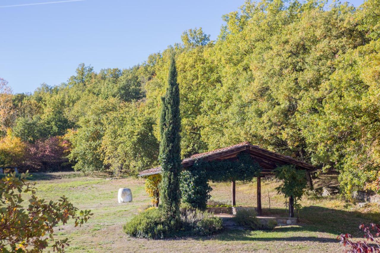 Fattorie Di Celli Apartamento Poppi Exterior foto
